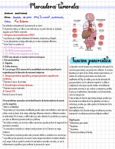 Marcadores-tumorales-y-funcion-pancreatica-.pdf