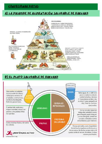 La alimentación pt2.pdf