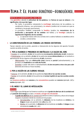 APUNTES-DEFINITIVOSTema-2completo.pdf