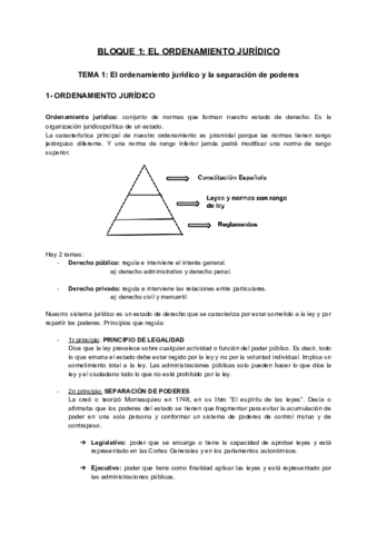 TEMA 1 (Bloque 1).pdf