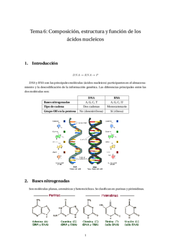Tema 6: Composición- estructura y función de los ácidos nucleicos.pdf