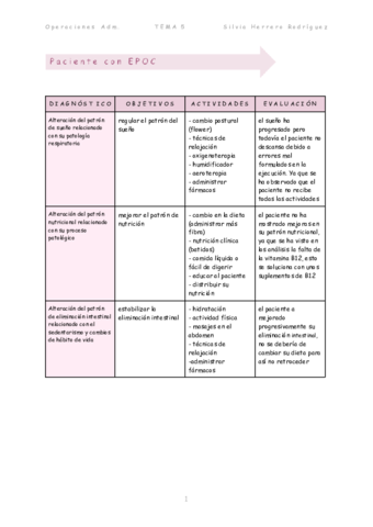 Silvia-Herrero-Rodriguez-Planes-de-cuidados-PAE-aplicacion-practica.pdf