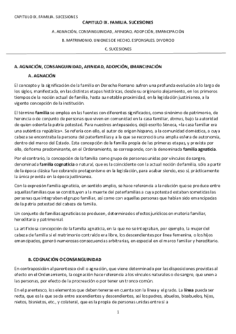 CAPITULO-IX.pdf