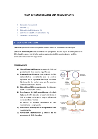 tema-3-IG-pdf.pdf