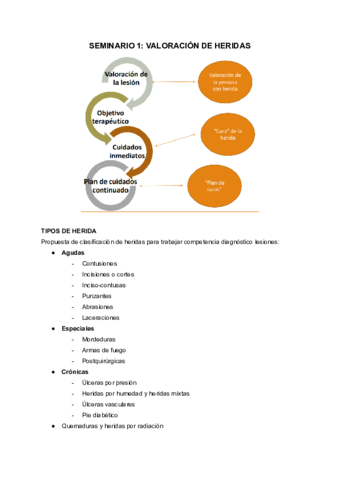 SEMINARIO-1-heridas.pdf