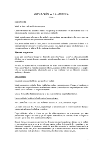 tema-5-y-6.pdf