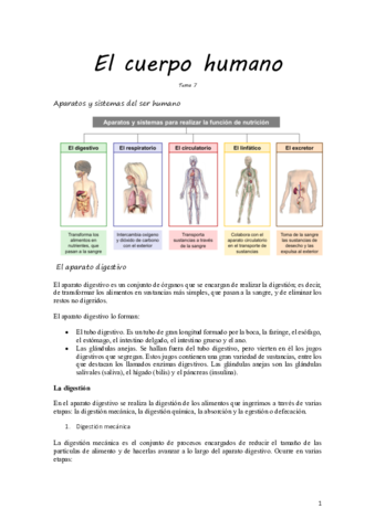 Tema-7-conocimiento.pdf