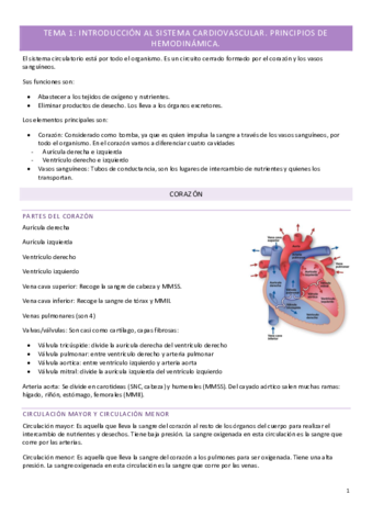 Seccion-III-Tema-1.pdf