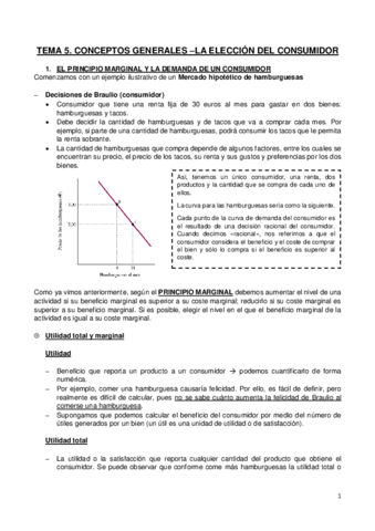 TEMA-5.pdf