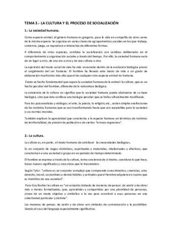 TEMA-3.pdf