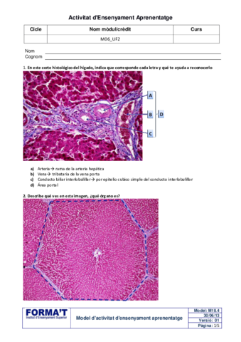 UF2-NF3-Q2-M6-higado-y-glandulas.pdf