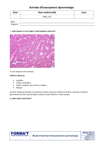Actividad-prostata-y-testiculo.pdf