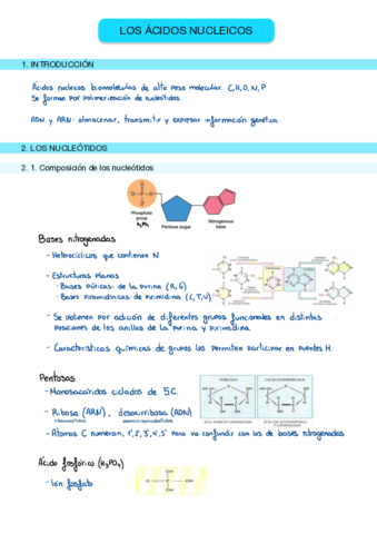 2-Ácidos nucleicos (parte 1)