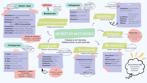 Esquema-Farmaco-Bactericides.pdf