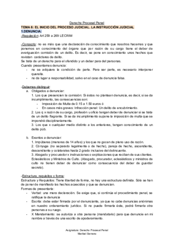 TEMA-6-D-Procesal-Penal-.pdf
