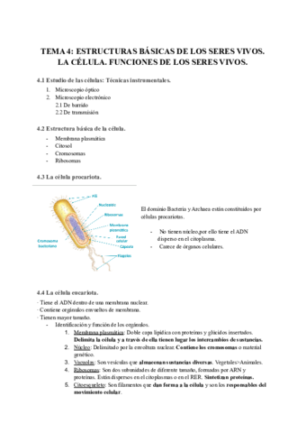 TEMA-4-LA-CELULA.pdf