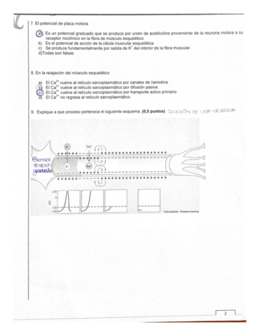 examen-fisio-I-2.pdf