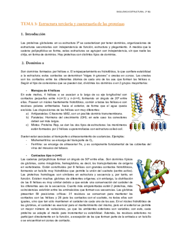 TEMA-3-Estructural.pdf