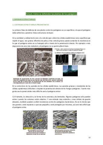 Tema-6-Como-se-defienden-las-plantas-de-los-patogenos.pdf
