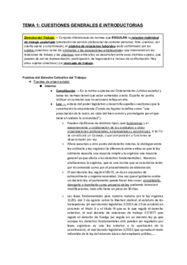 TEMA 1- CUESTIONES GENERALES E INTRODUCTORIAS (derecho colectivo).pdf