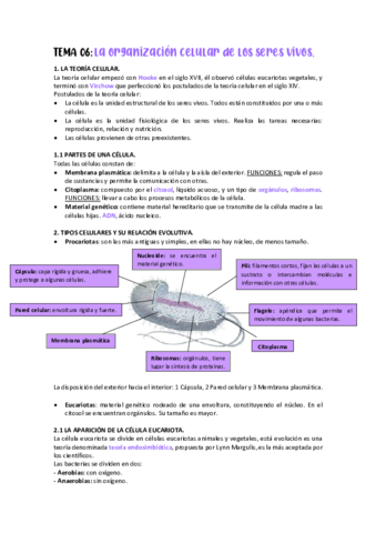 TEMA-06-TEORIA.pdf