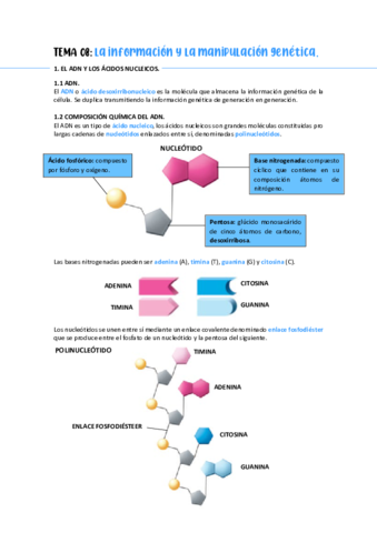 TEMA-08-TEORIA.pdf