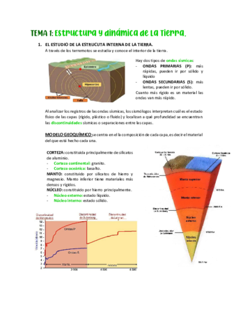 TEMA-1-TEORIA.pdf