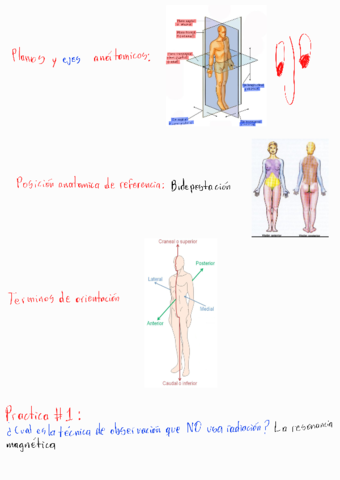 T1-Divisiones-y-constituciones.pdf