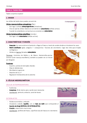 Tema-5-Tejido-oseo.pdf