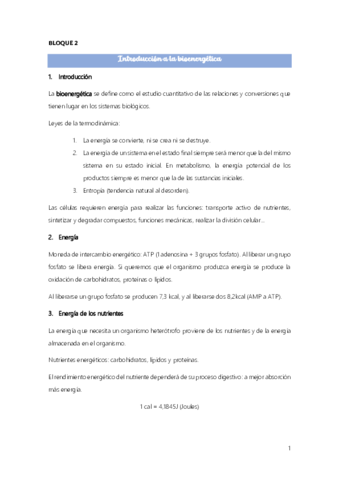 Bloque-2.pdf