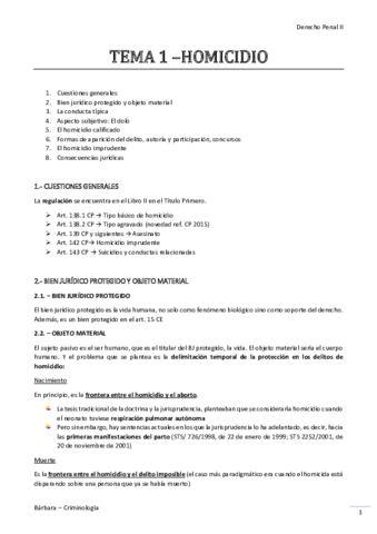 DERECHO PENAAL II.pdf