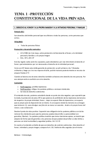 TIS PARTE JURÍDICA COMPLETA.pdf