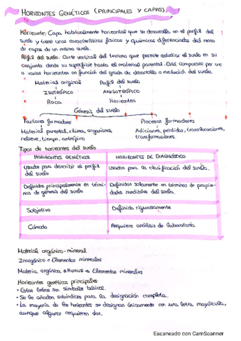 Horizontes-del-suelo.pdf