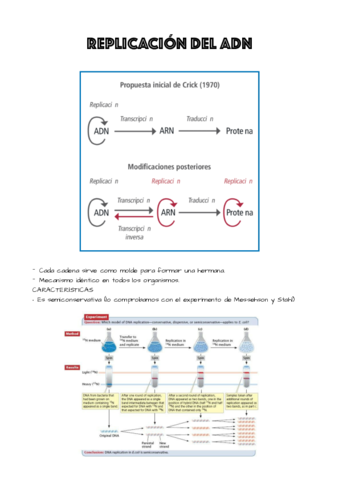 tema-3.pdf