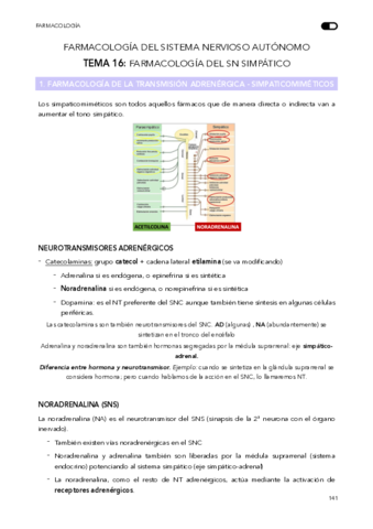 TEMA  16 - SN Simpático