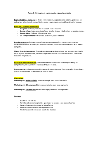 Tema-6-Segmentacion-y-Posicionamiento.pdf
