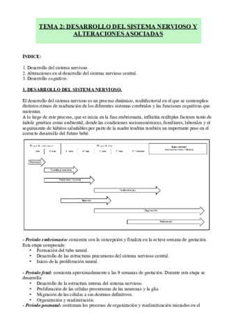 TEMA-2-NI.pdf