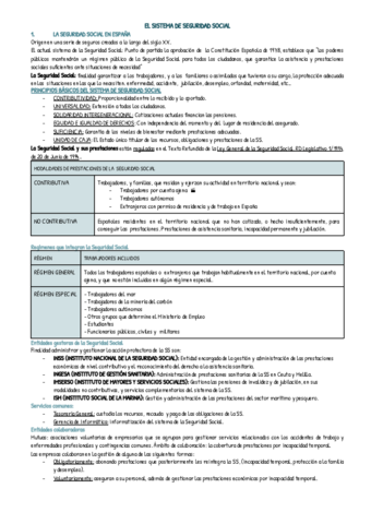 EL-SISTEMA-DE-SEGURIDAD-SOCIAL.pdf