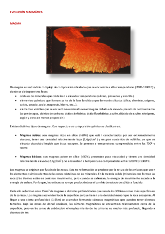 Apuntes-del-tema-3b.pdf