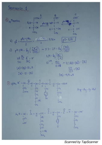 seminarios-primer-cuatri.pdf