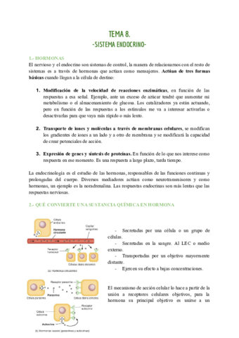 TEMA-8-ENDOCRINO.pdf