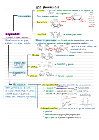 Resumen-UT2.pdf