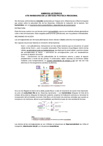 aminoglucosidos.pdf