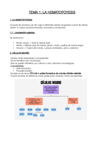 RESUMEN-HEMATOPOYESIS.pdf