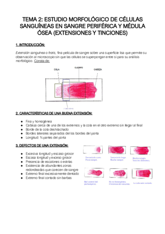 tema-2-extensiones.pdf