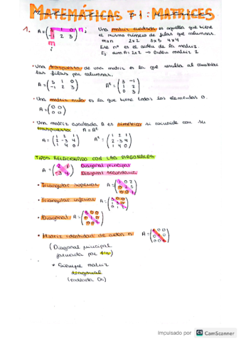 Mates-apl-ccss-tema1-matrices.pdf