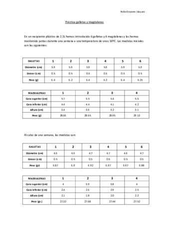 Practica-2-Galletas-y-magdalenas-2014.pdf