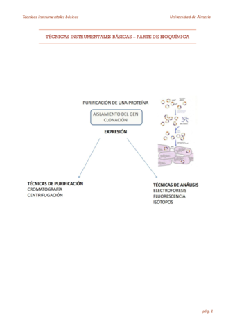 TECNICAS-INSTRUMENTALES-BASICAS-parte-de-bioquimica.pdf