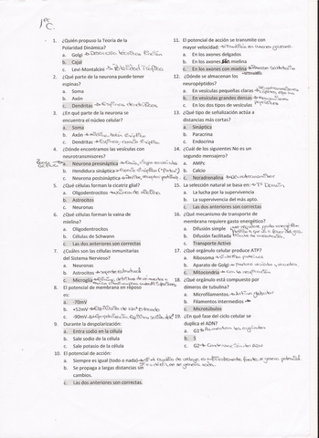 Examen Psicobiologia(1) (3).jpg