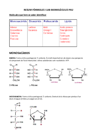 RESUM-FORMULES-I-LAB-BIOMOLECULES-PAU.pdf